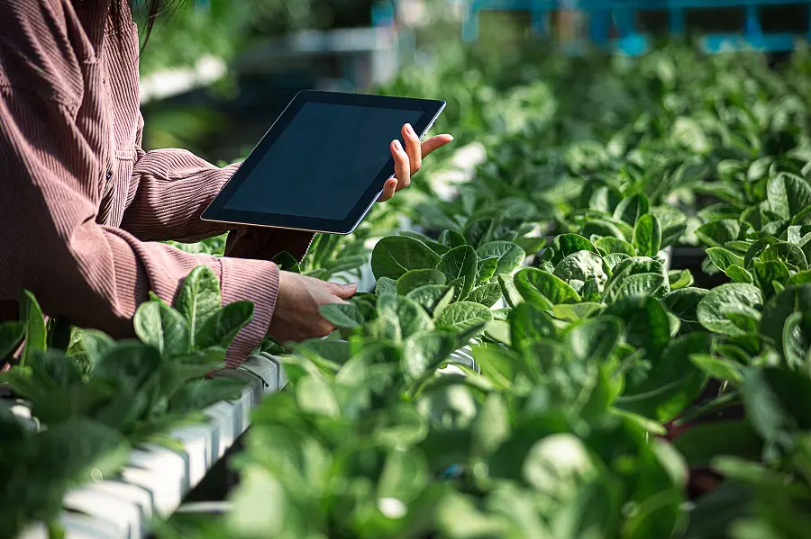 Aspects to Consider When Buying a Farm in Texas