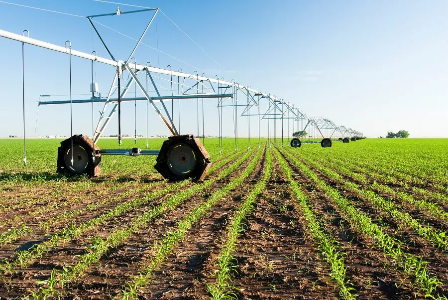 Texas Rural Land Growth Report 2026: Easement, Access & Landlocked Trends