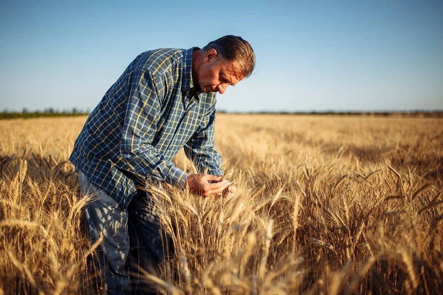 The Land Boom That Changed the Rules (2021–2026)