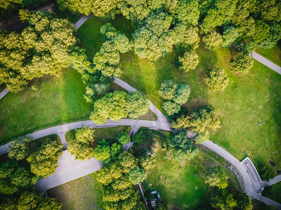 Green Space